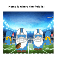 Happy Football GIF