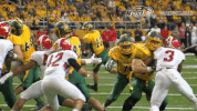 north dakota state football GIF by NDSU Athletics