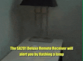 Asl Flasher GIF