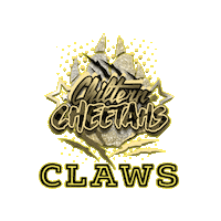Cheerleading Claws Sticker by Chiltern Cheetahs