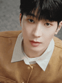 세븐틴 Jeonwonwoo GIF