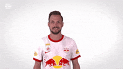 Red Bull Sport GIF by FC Red Bull Salzburg