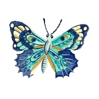Plant Butterfly Sticker
