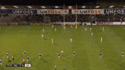 SaleSharks rugby sale sharks salesharks gallagherprem GIF
