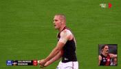 2018 season football GIF by AFL