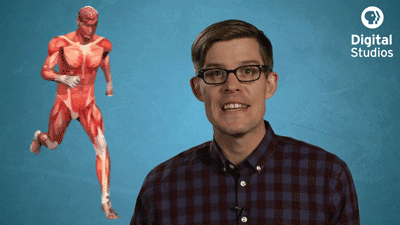 GIF by PBS