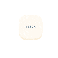 vescabeauty sparkle glow shine highlight Sticker