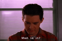season 2 GIF by Twin Peaks on Showtime