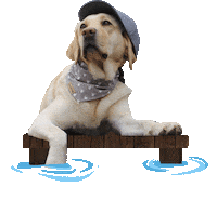 dog fish Sticker by Tales&Tails