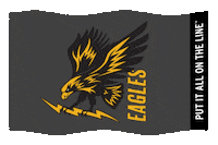 Flag Eagles Sticker by Southeast Lineman Training Center