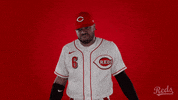 Phillip Ervin Baseball GIF by Cincinnati Reds