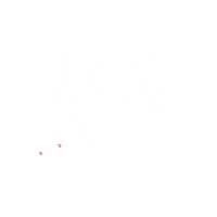 Cat Love Sticker
