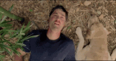 gavin doran GIF