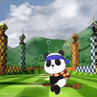 Harry Potter Quidditch GIF by Pandu Pandas