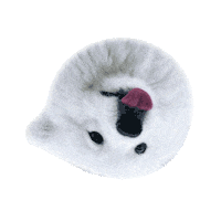 Thisisdave samoyed davide locatelli dave locatelli samoiedo Sticker