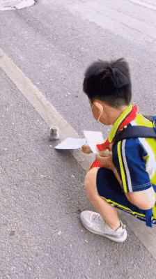 cuteanimalland giphyupload GIF