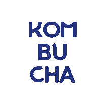 Kombucha Fermentation Sticker by Fairment