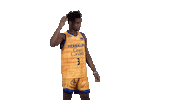 Liga Endesa Basketball Sticker by ACB