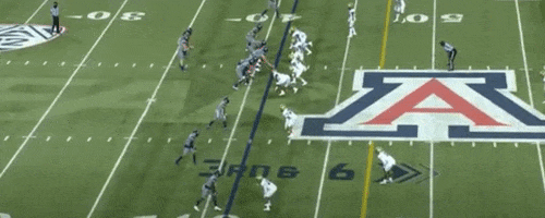 nfalato11 giphyupload GIF