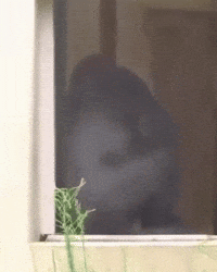 Spin Whatever GIF by Respective