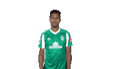 Theodor Gebre Selassie Bundesliga Sticker by SV Werder Bremen