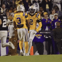 College Football GIF by LSU Tigers