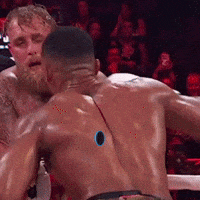 Jake Paul Boxing GIF by Marcel Katz Dalí / The Art Plug