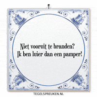 Humor Nl GIF by Tegelspreuken.nl