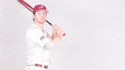 Bill Russo GIF by Lafayette Leopards