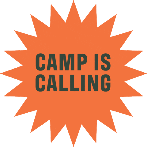 Ccsummercamp Sticker by Create Cultivate
