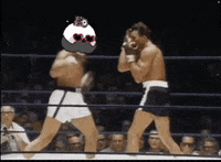 Lets Go Fighting GIF by Kanpai Pandas