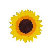 Spring Flower Sticker