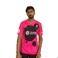 England Cricket Ball Sticker by Somerset County Cricket Club