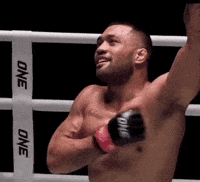 Mma Fighter GIF