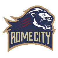 romecityinstitute rome city romecityinstitute city institute rome institute Sticker