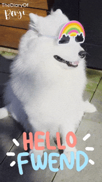 Rainbow Hello GIF