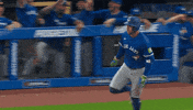 High Five Home Run GIF by Toronto Blue Jays