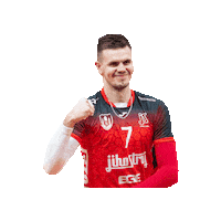 Ceske Budejovice Biceps Sticker by VK Jihostroj