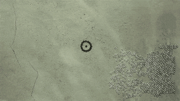 animation hex GIF by Digg