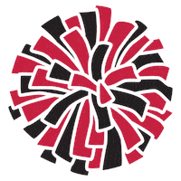 Football Cheer Sticker by Hannover Stampeders  AFC