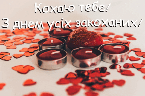 karinazuieva giphygifmaker GIF