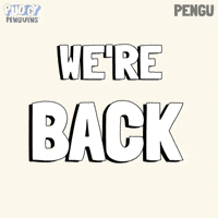 Guess Whos Back GIF by Pudgy Penguins