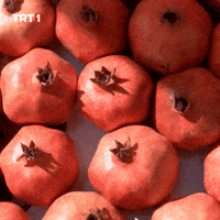 How To Wow GIF by TRT