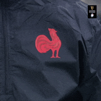 France Rugby GIF by Guinness Six Nations