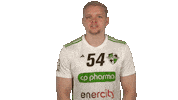 Handball-Bundesliga Handball Sticker by LIQUI MOLY HBL