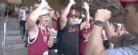 Nc State Baseball GIF by NCAA Championships