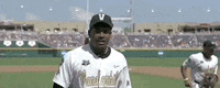 Nc State Baseball GIF by NCAA Championships