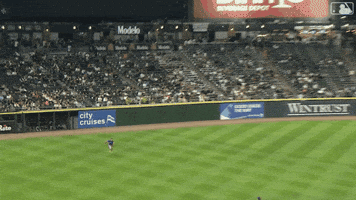 Blue Jays Baseball GIF by Toronto Blue Jays
