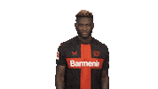 Bayer Leverkusen Point Sticker by Bundesliga