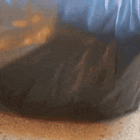 Delete Just As I Thought GIF by Catāli